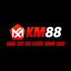 avatar of km88ws