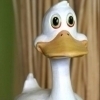 avatar of canard